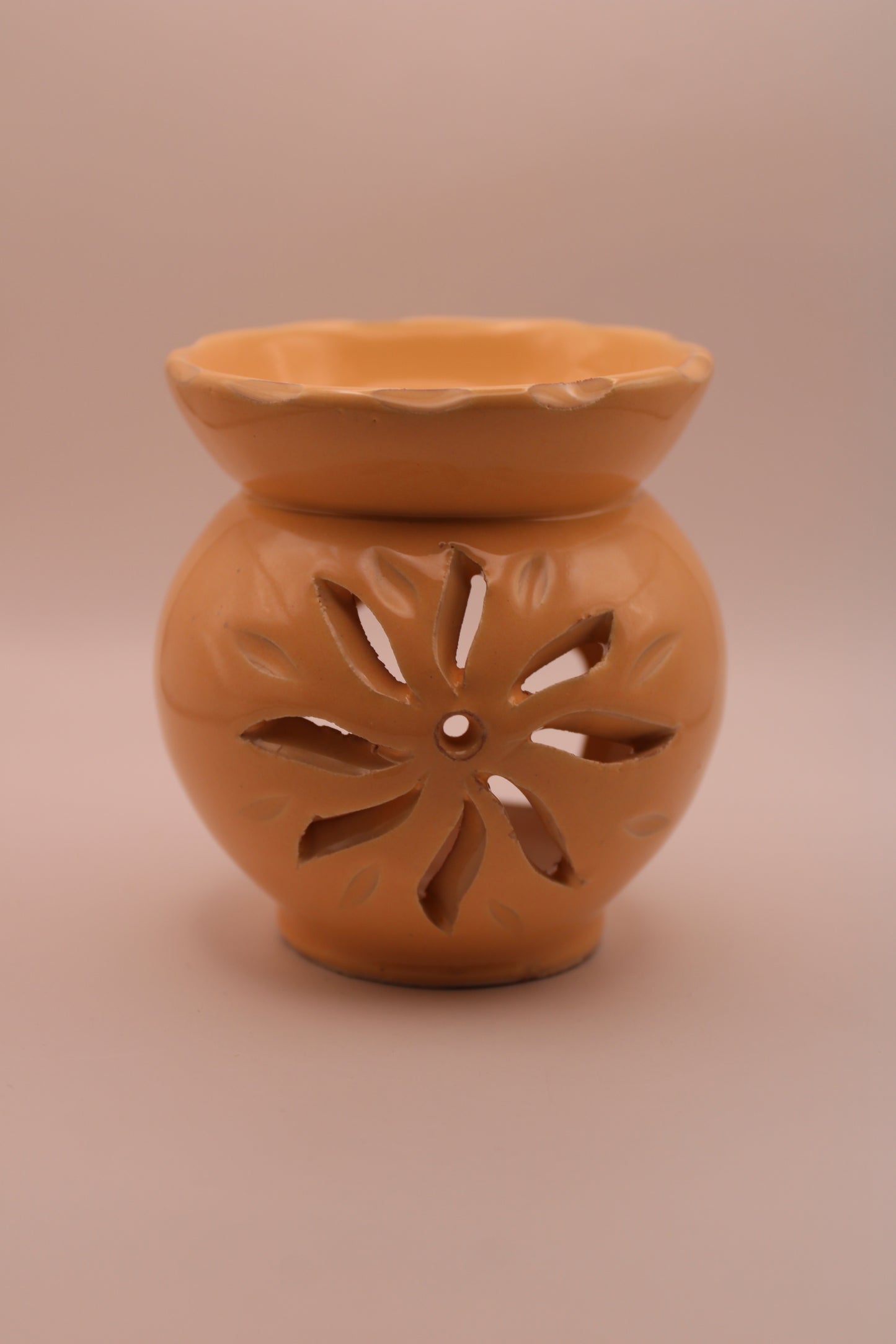 Le Diffuseur Oasis