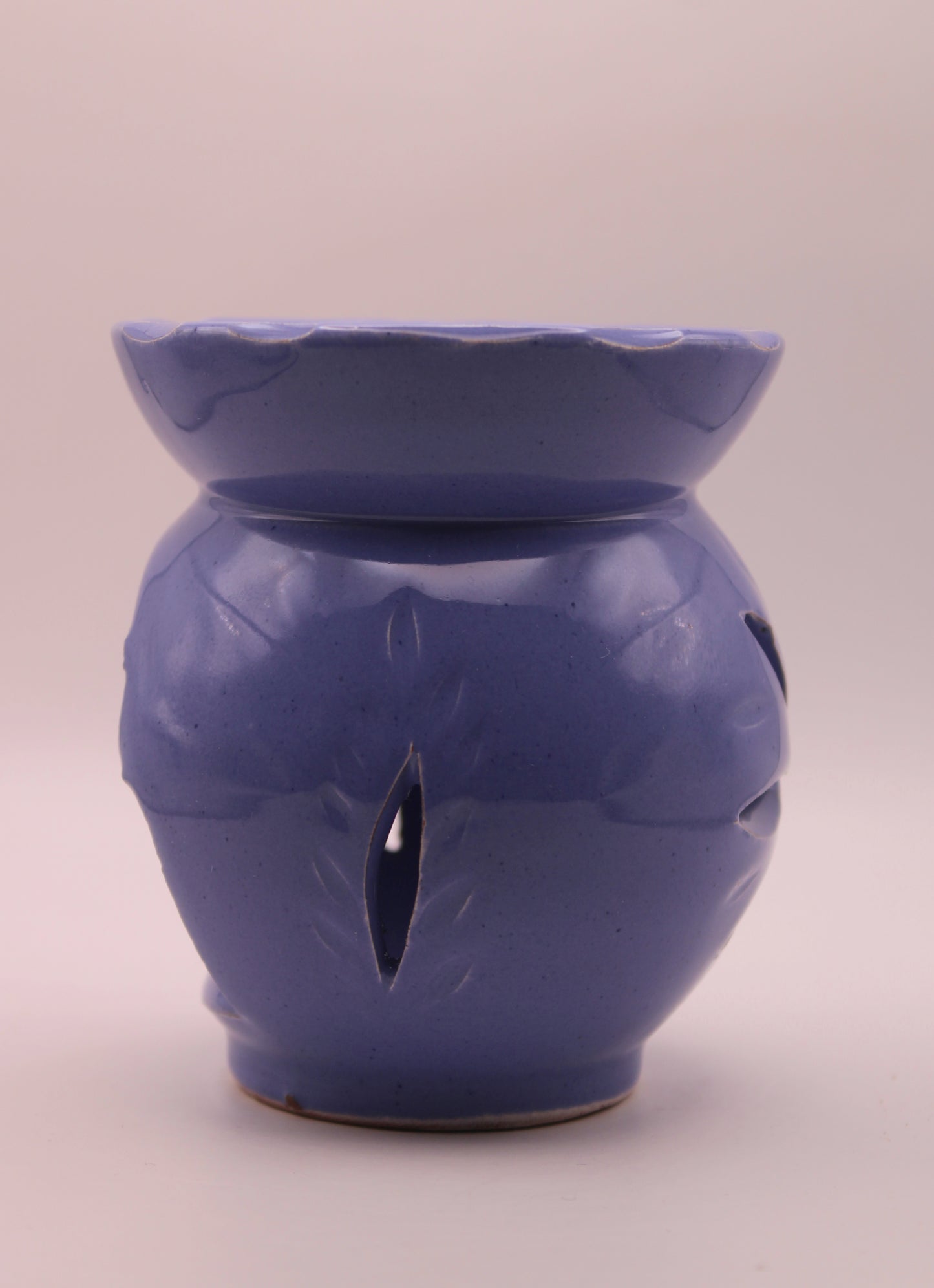 Le Diffuseur Oasis