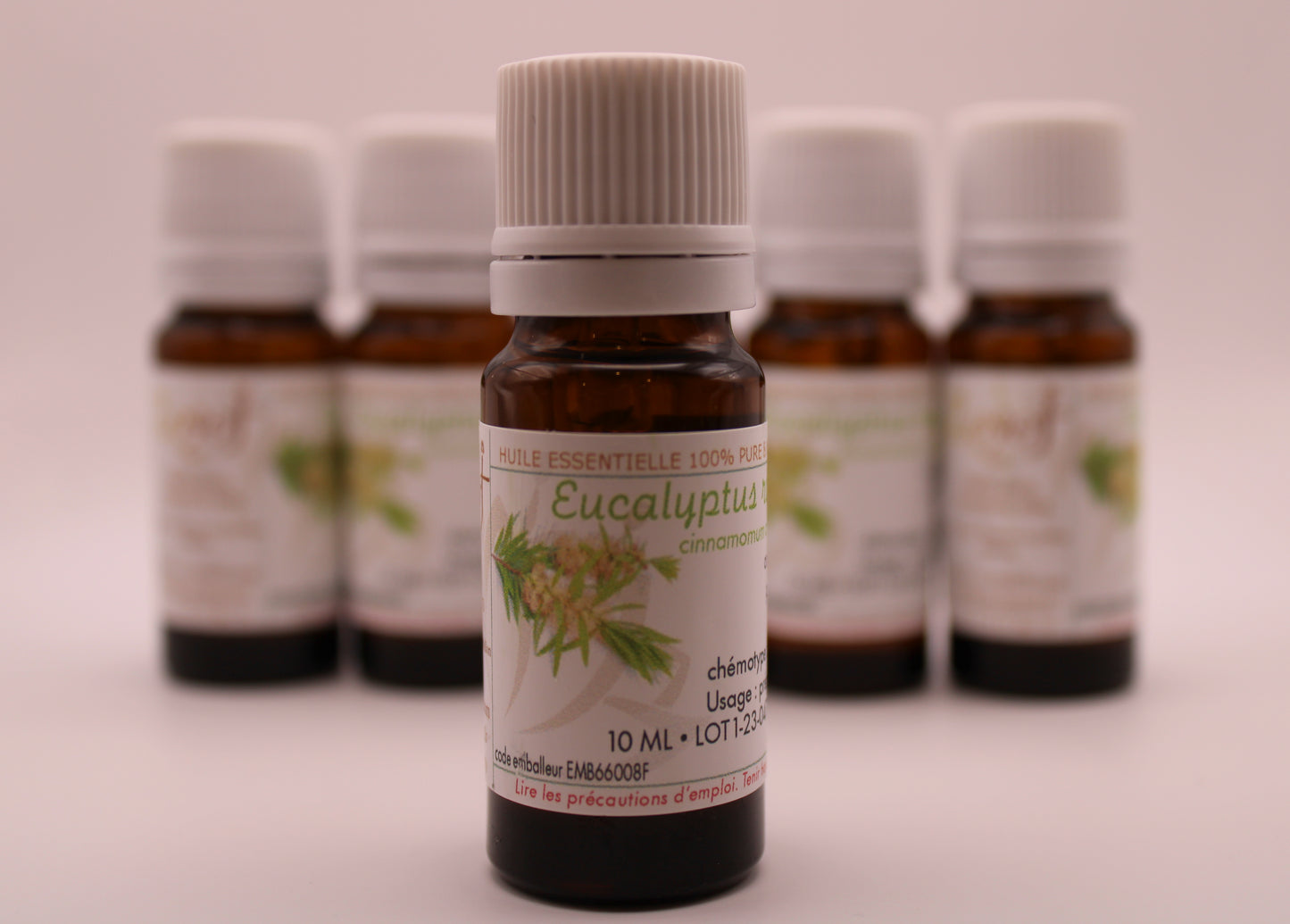 Huile Essentielle BIO d’Eucalyptus Radié