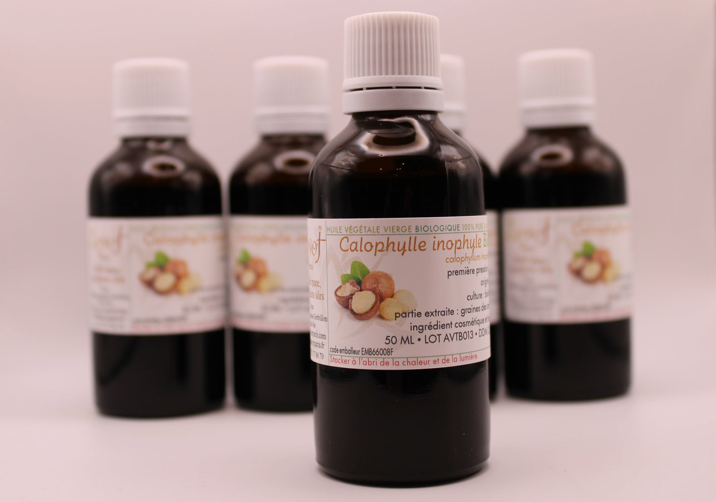Huile Végétale Vierge BIO de Calophylle