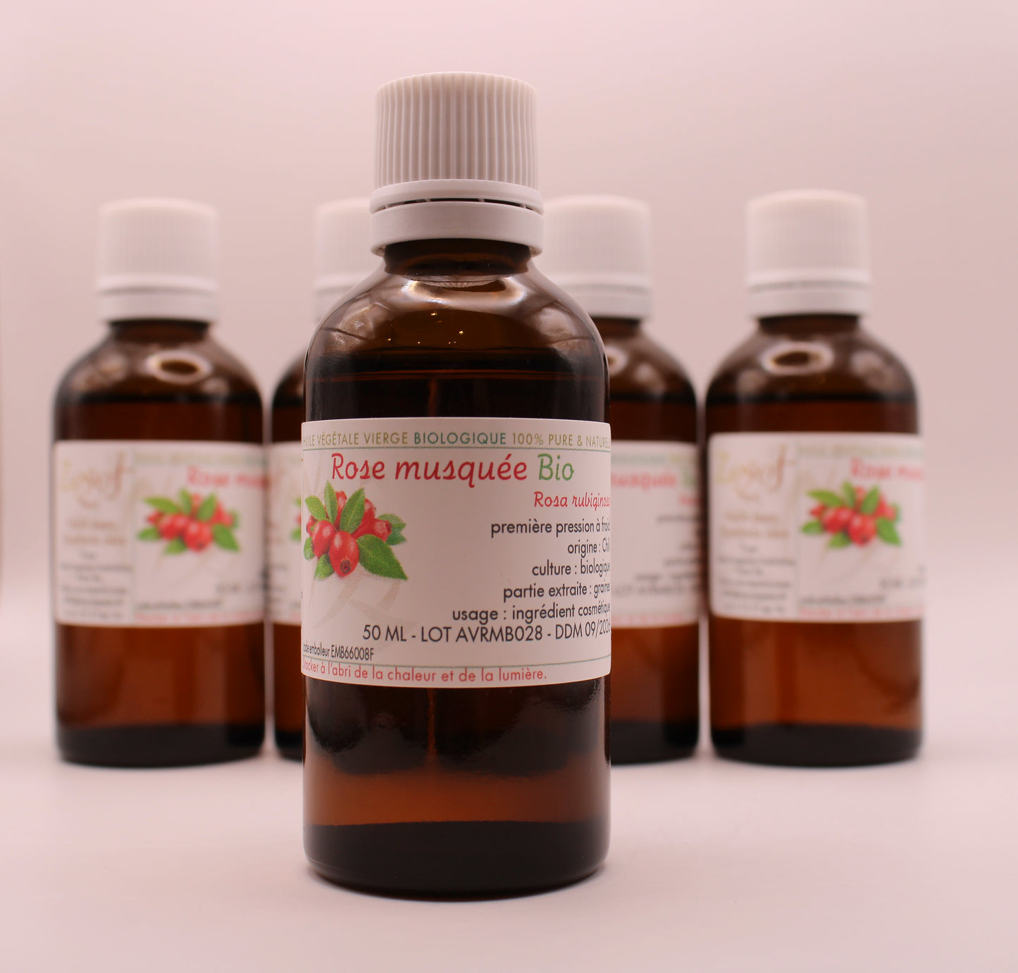 Huile Végétale BIO de Rose Musquée