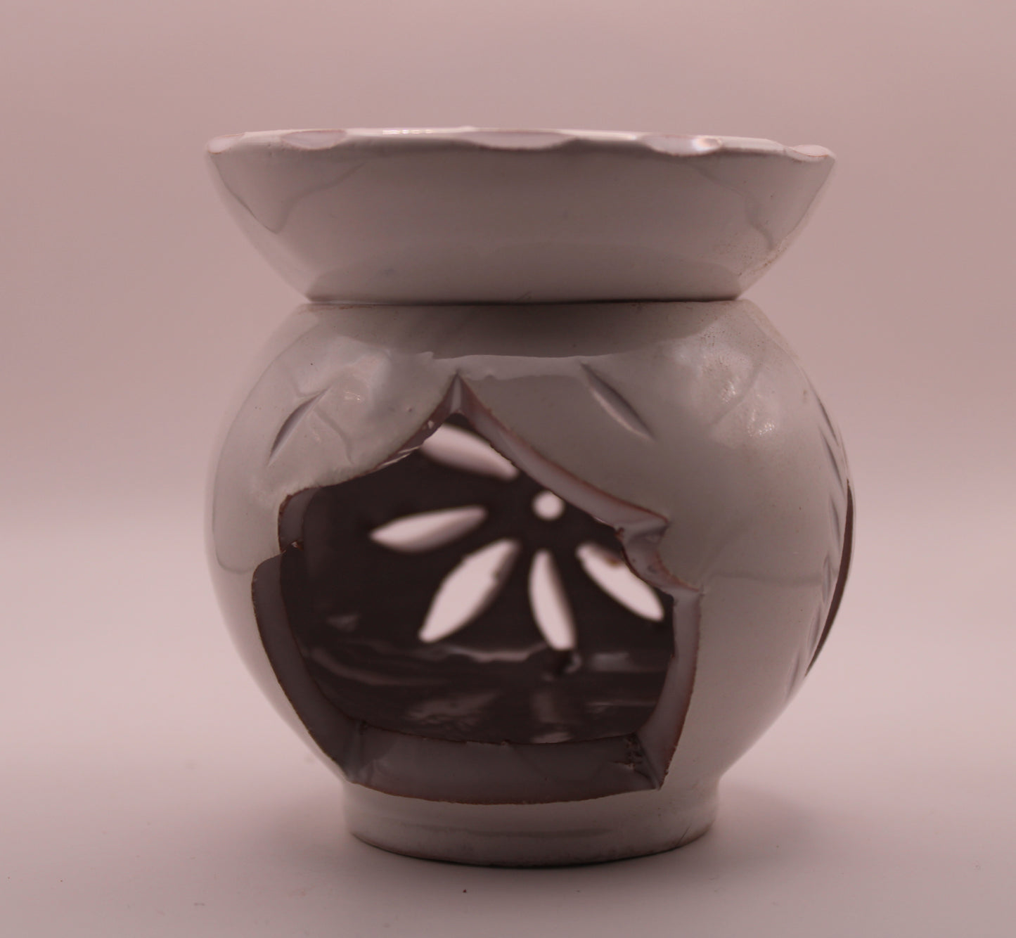 Le Diffuseur Oasis