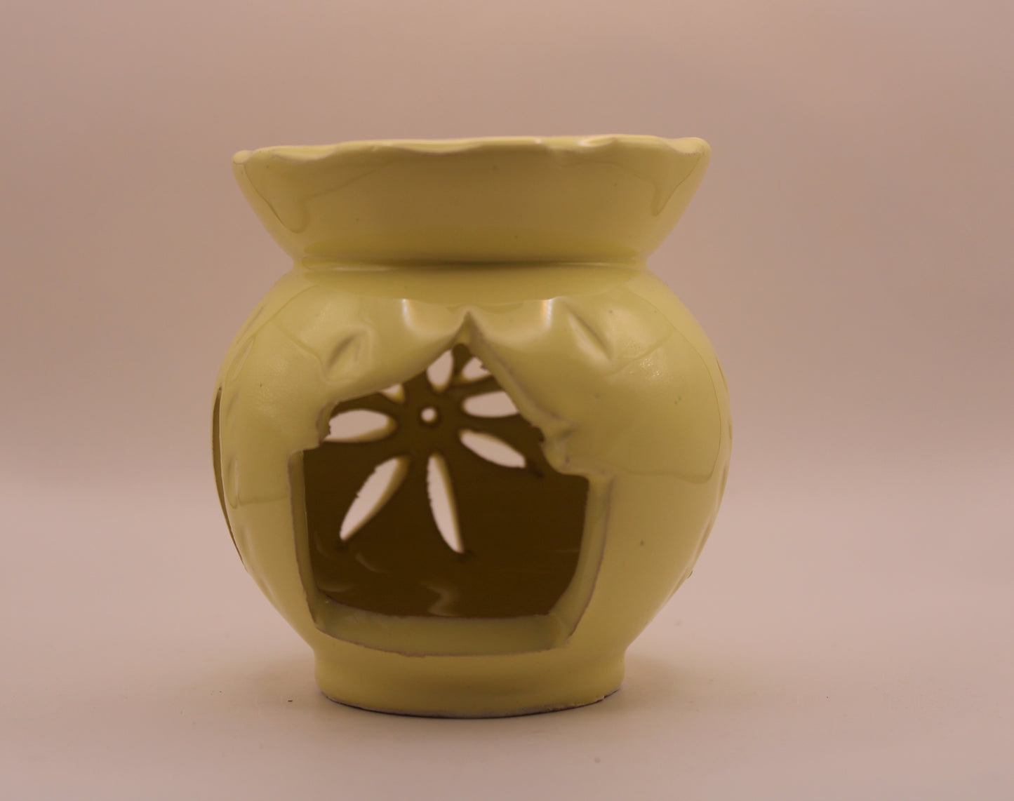 Le Diffuseur Oasis