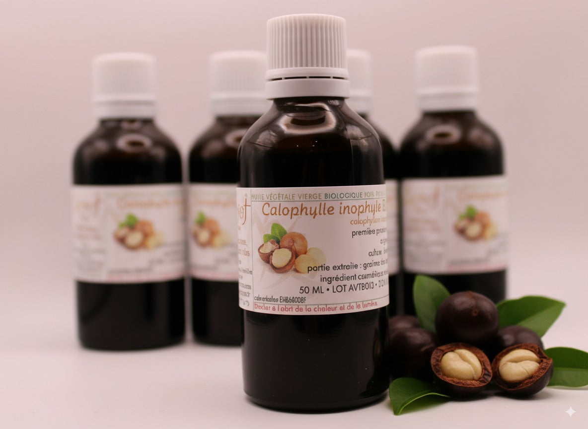 Huile Végétale Vierge BIO de Calophylle