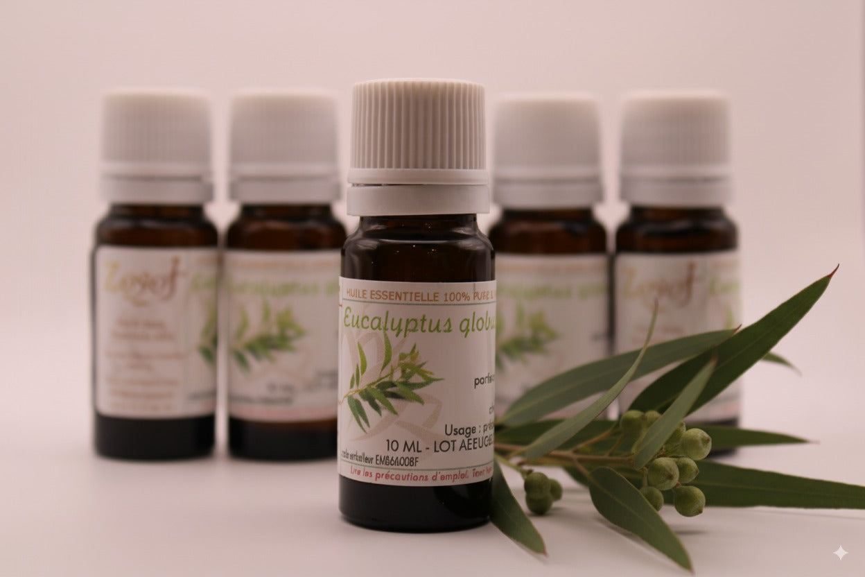 Huile Essentielle BIO d’Eucalyptus Globulus