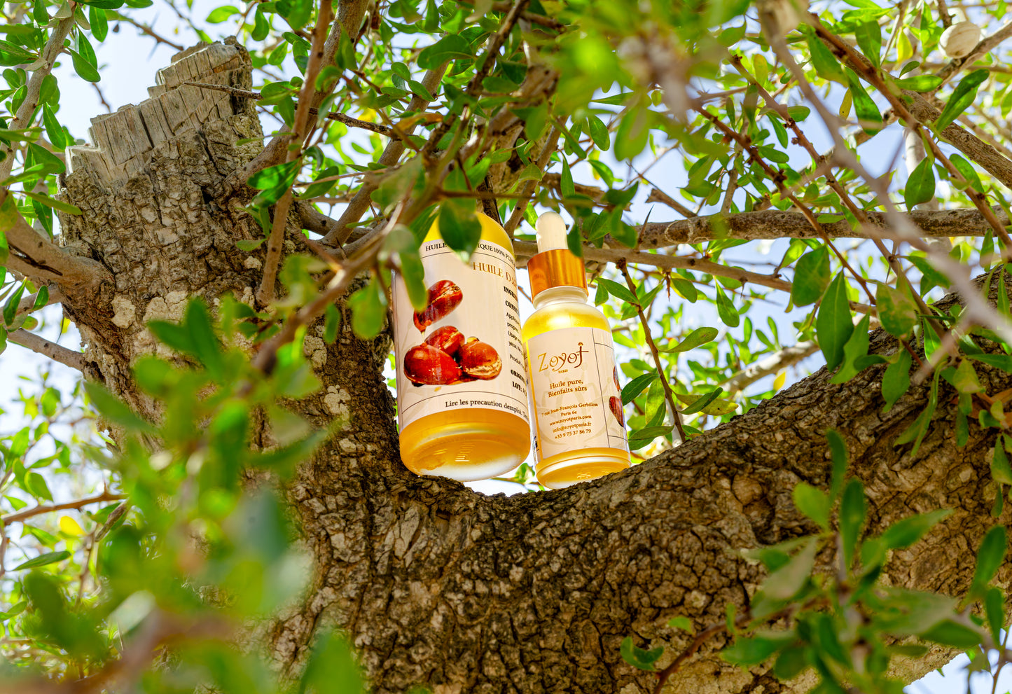 Huile d'argan pure du Maroc