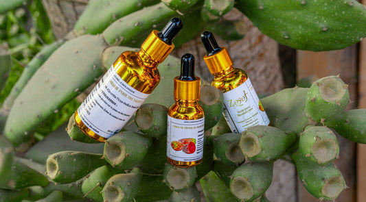 Bouteilles d’huile de figue de barbarie Zoyot Paris posées sur des figues de cactus – soin anti-âge naturel riche en vitamine E
