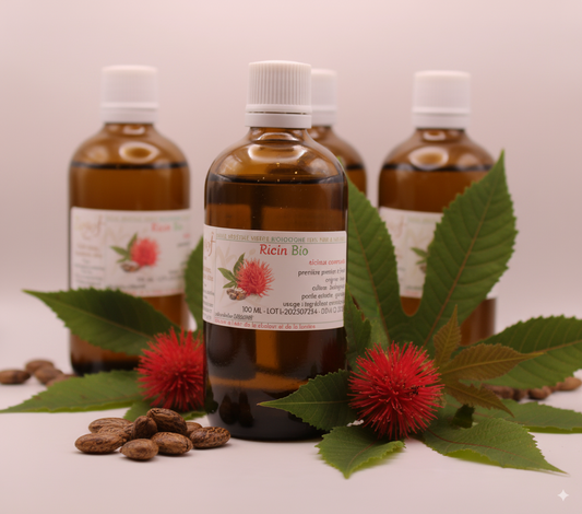 Huile Végétale BIO de Ricin