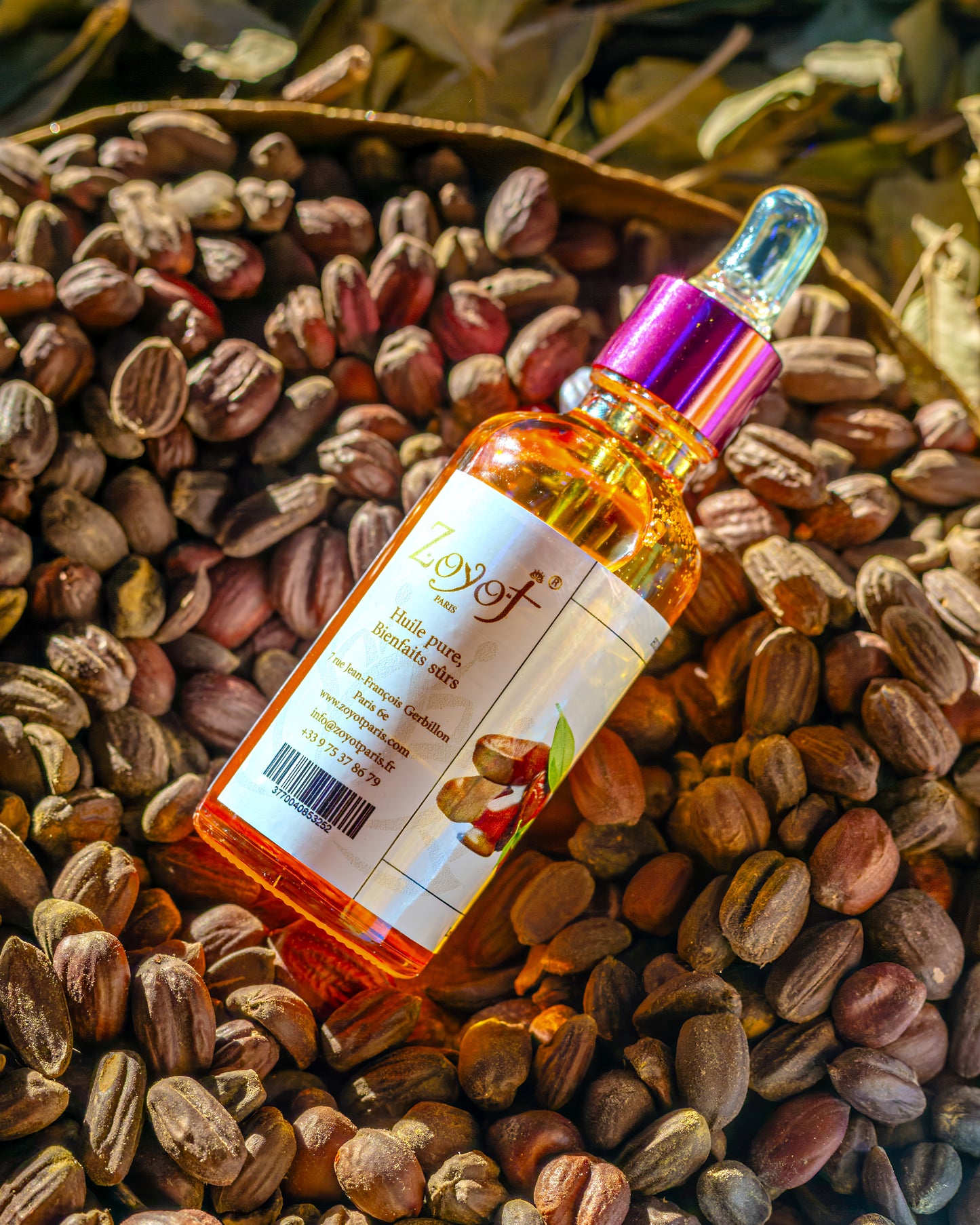 Huile de Jojoba Pure du Maroc