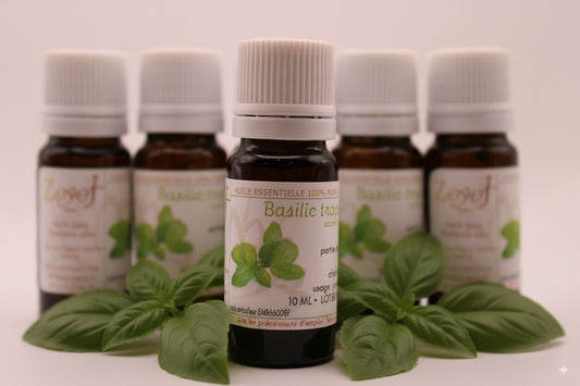 Huile Essentielle BIO de Basilic Tropical