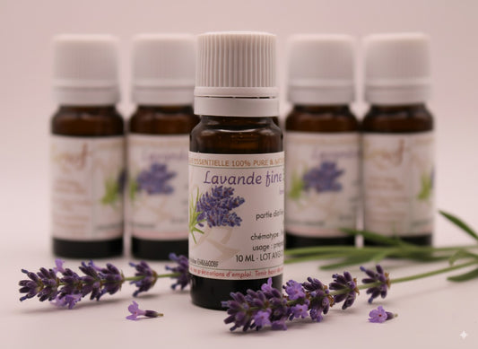 Huile Essentielle BIO de Lavande Fine