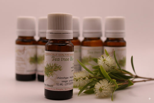 Huile Essentielle BIO de Tea Tree