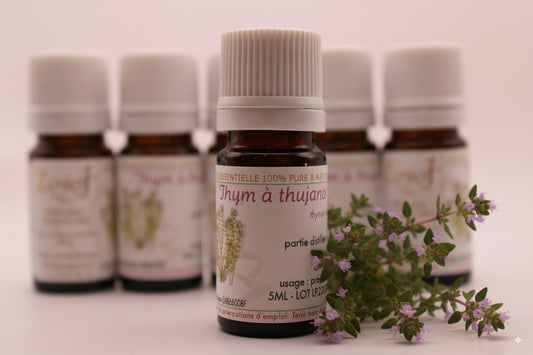 Huile Essentielle BIO de Thym à Thujanol de France