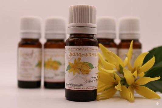 Huile Essentielle BIO d’Ylang-Ylang