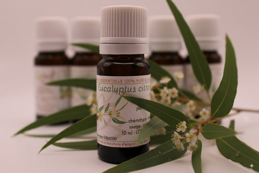 Huile Essentielle BIO d’Eucalyptus Citronné
