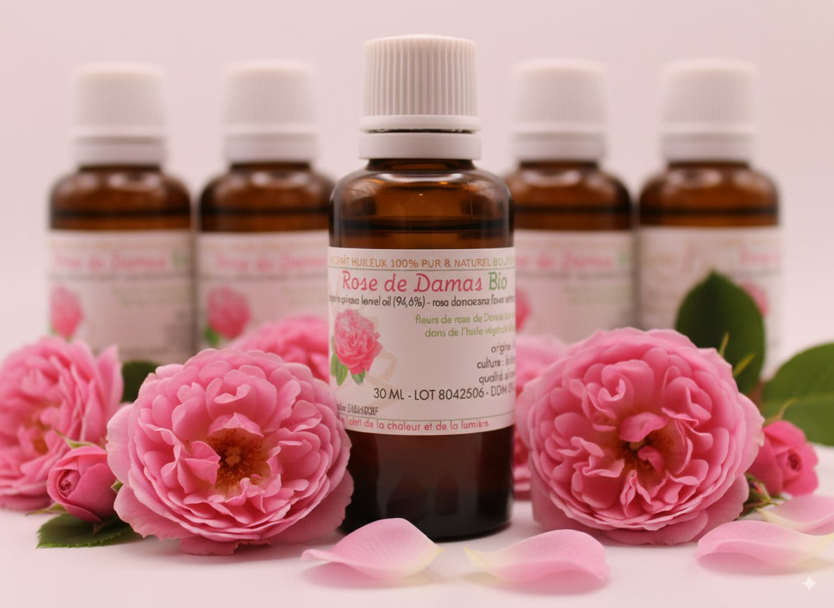 Macérât Huileux BIO de Rose à l’Huile d’Argan
