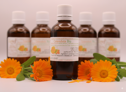 Macérât Huileux BIO de Calendula