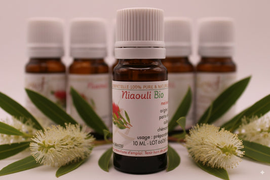 Huile Essentielle BIO de Niaouli